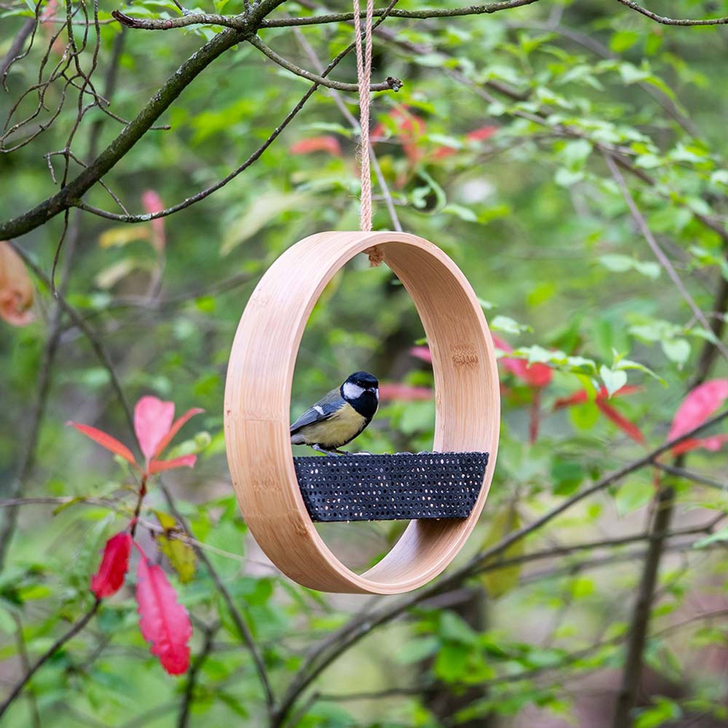 Saaten-Futterhaus „Osaka“ aus Bambus | CJ Wildlife